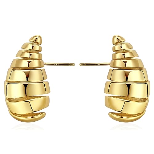 Read more about the article LecAit 14k Gold Plate Drop Earrings Spiral Chunky Gold Hoop Earrings,Earring Dupes Teardrop Waterdrop Lightweight Dangle Earrings Hypoallergenic Fashion Trendy Jewelry for Women Girls