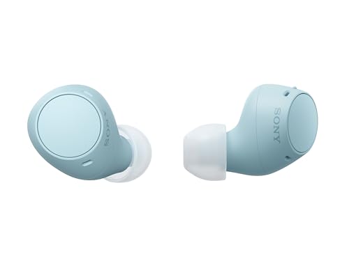 You are currently viewing Sony WF-C510 Truly Wireless in-Ear Bluetooth Earbud Headphones with up to 22-Hour Battery, Multipoint-Connection, Mic and IPX4 Water Resistance, Blue – New