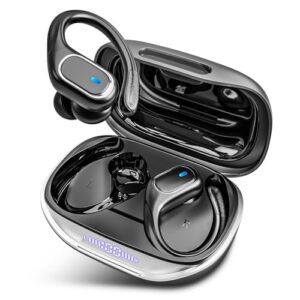 Read more about the article Wireless Earbuds Bluetooth Headphones 80Hrs Playtime Ear Buds IPX7 Waterproof Sports Earphones Wireless Charging Case Over-Ear Earhooks Headest/Black