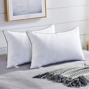Read more about the article Pillows Queen Size 2 Pack for Sleeping, Soft and Supportive Bed Pillow for Side and Back Sleeper, Down Alternative Hotel Collection Pillows-20 x30