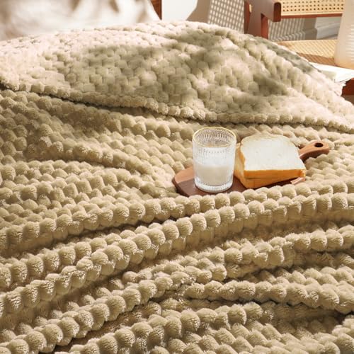 Read more about the article David’s Home Ultra Cozy Fleece Blanket Twin Size, Fluffy Soft 3D Jacquard Flannel Breathable Blanket Durable for All Seasons, Elegant Layer for Bed Couch Home Decor, Light Khaki